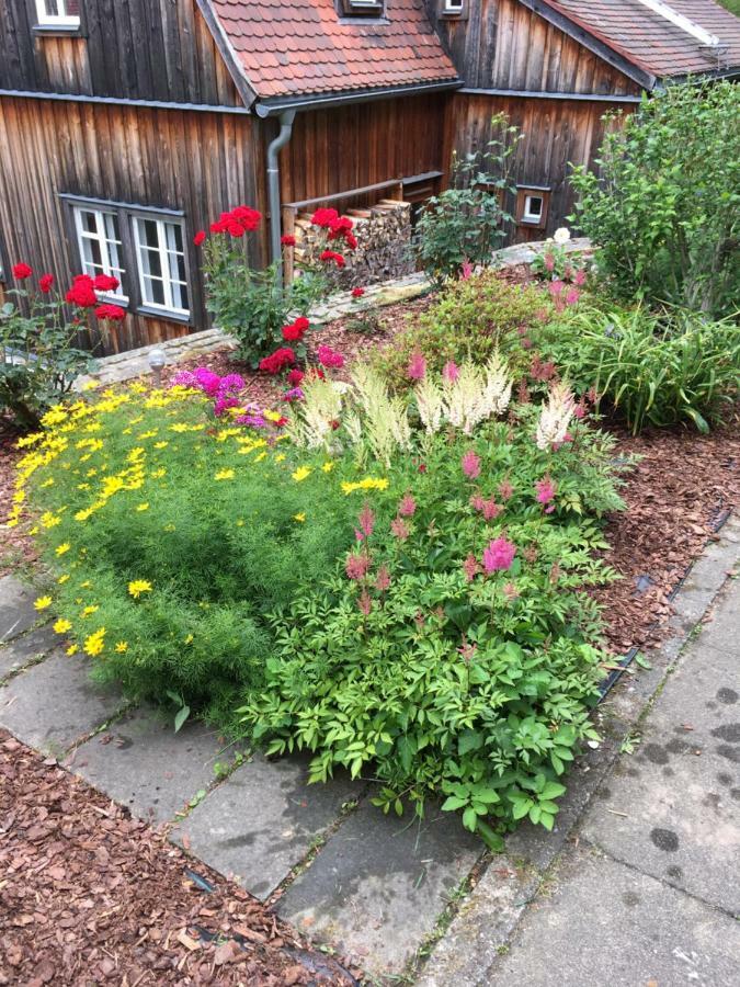 Haus Bergfriede Hotel Bad Schandau Buitenkant foto